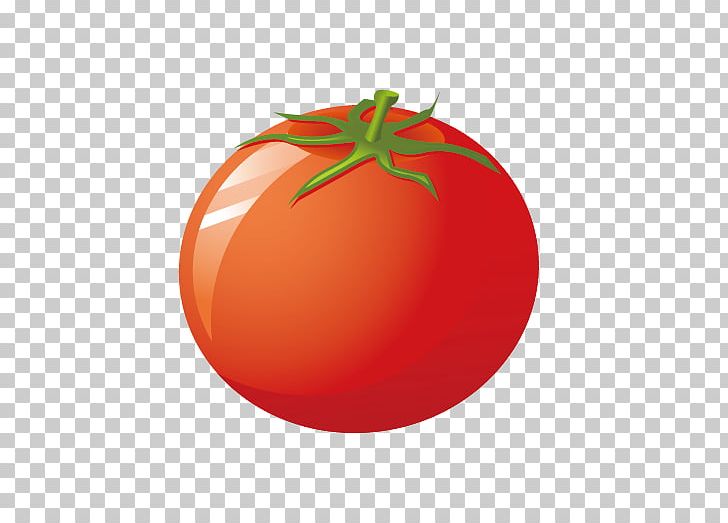 Tomato Vegetable Seasonal Food Illustration PNG, Clipart, Carrot, Cherry Tomato, Circle, Creative, Cuisine Free PNG Download