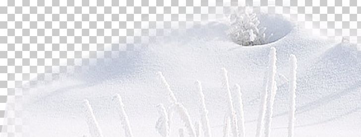 White Angle Font PNG, Clipart, Angle, Iceberg, Iceberg Snow, Line, Nature Free PNG Download