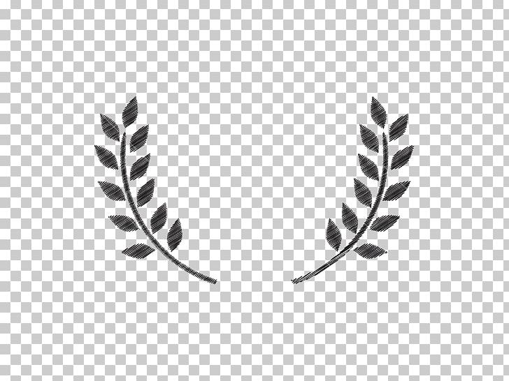 Olive Branch Photography PNG, Clipart, Black And White, Body Jewelry, Clip Art, Graphic Design, Leaf Free PNG Download