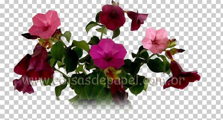 Paper Origami Kusudama Cut Flowers Allamanda Cathartica PNG, Clipart, Allamanda Cathartica, Annual Plant, Bonsai, Cut Flowers, Flower Free PNG Download