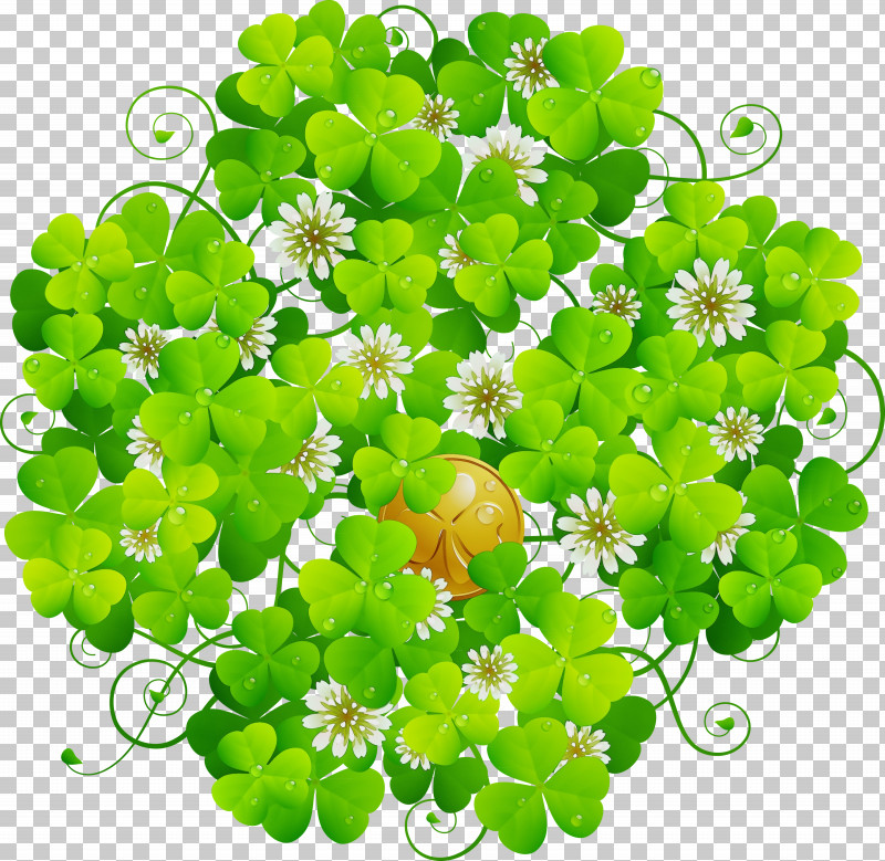 Shamrock PNG, Clipart, Annual Plant, Clover, Dutch Clover, Flower, Green Free PNG Download