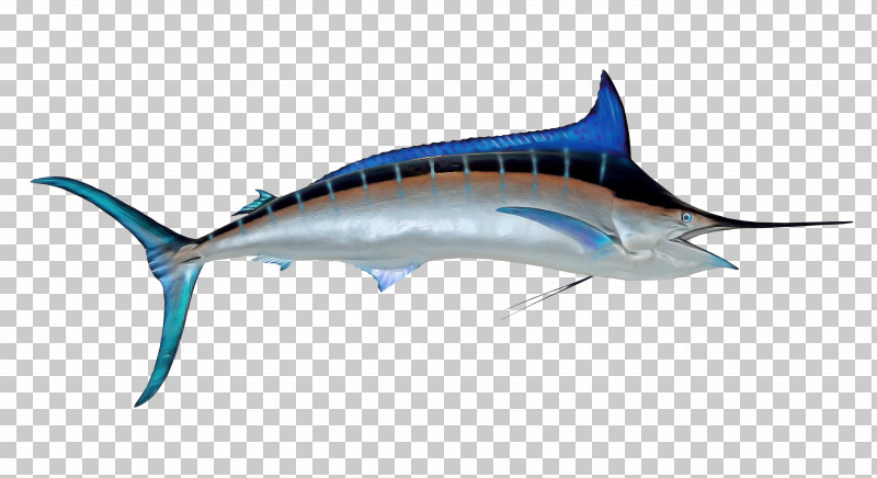Bony Fishes Swordfish Requiem Sharks Tuna Sharks PNG, Clipart, Biology, Bony Fishes, Fish, Marlin, Requiem Free PNG Download