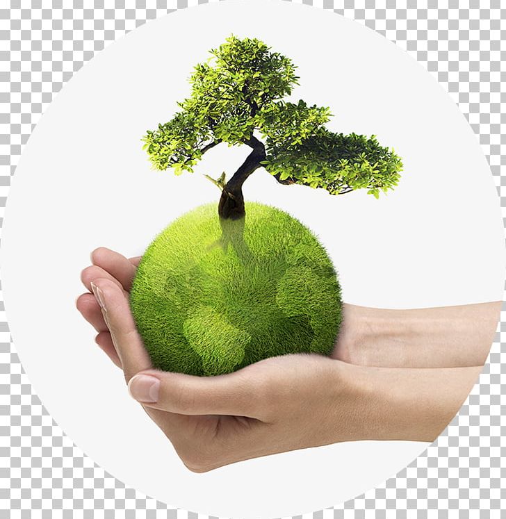 Natural Environment Physics Nature Pollution Environmental Studies PNG, Clipart, Building, Earth Day, Energy, Energy Conservation, Environmental Protection Free PNG Download