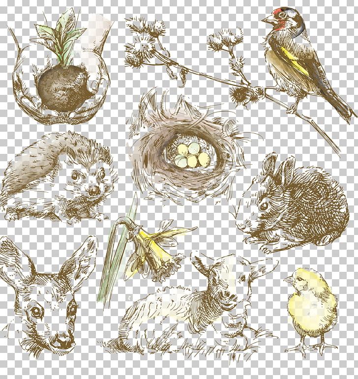 Drawing Animal Illustration PNG, Clipart, Animals Vector, Bird, Bird Nest, Bird Of Prey, Branch Free PNG Download