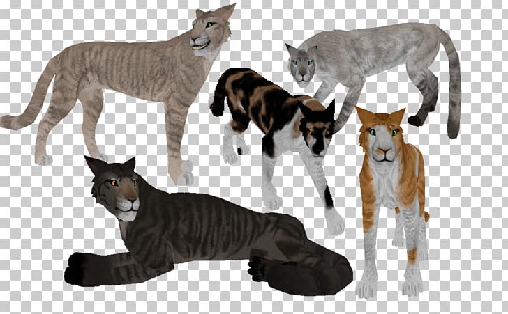Feral Cat Burmese Cat Calico Cat Tabby Cat Felidae PNG, Clipart, Animal, Animal Figure, Big Cat, Big Cats, Burmese Cat Free PNG Download
