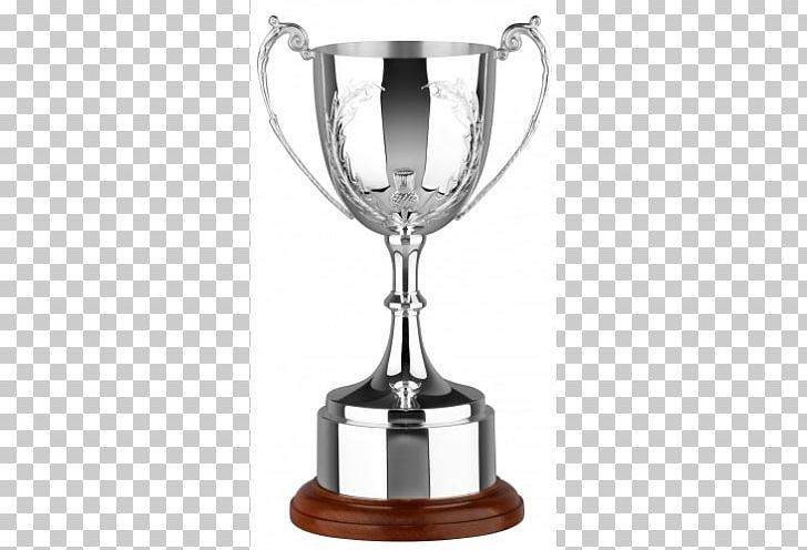 Trophy Silver Plating Cup Repoussé And Chasing PNG, Clipart, Award, Chase, Commemorative Plaque, Craft, Cup Free PNG Download