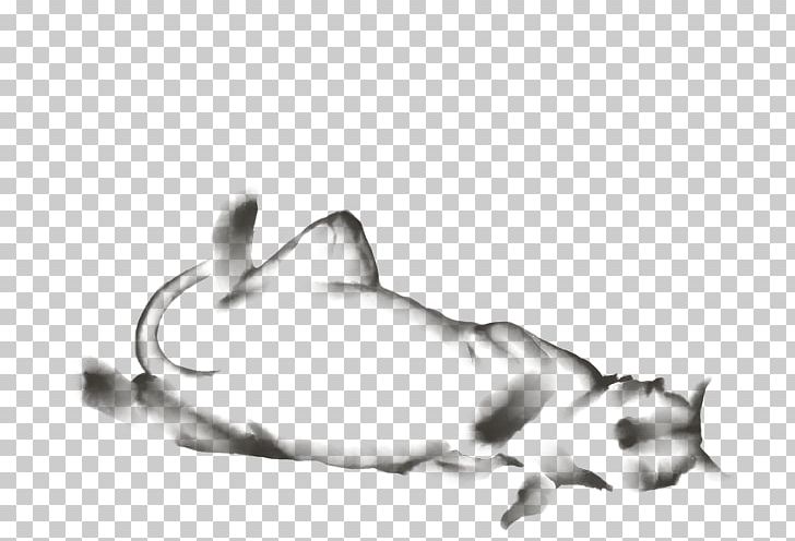 Whiskers Kitten Cat Rat Canidae PNG, Clipart, Animals, Black And White, Canidae, Carnivoran, Cat Free PNG Download