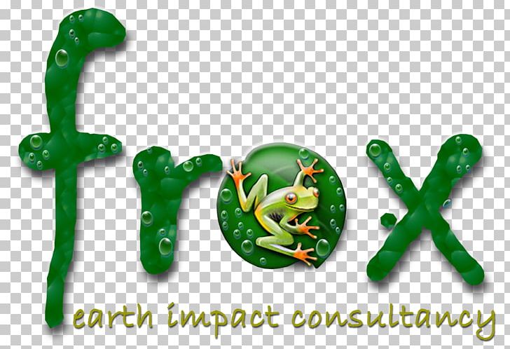 Amphibians Consultant Earth Font Blog PNG, Clipart, Amphibian, Amphibians, Blog, Consultant, Earth Free PNG Download
