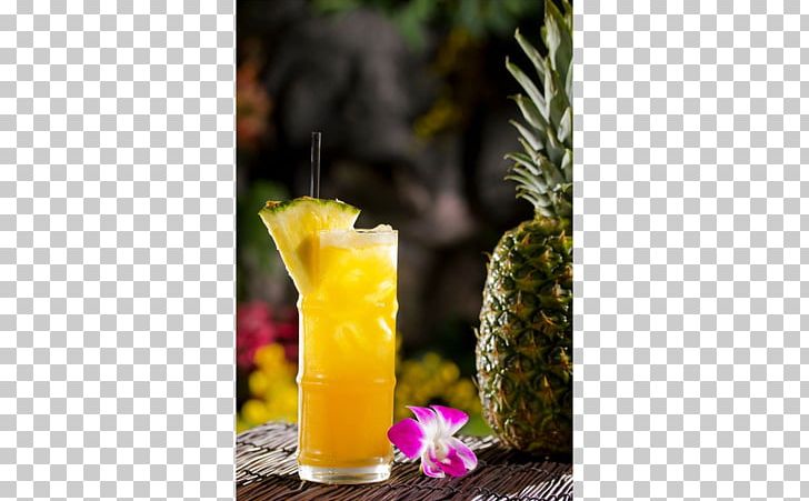 Cocktail Garnish Tiki Culture Mai Tai Rum PNG, Clipart, Cocktail, Cocktail Garnish, Don Papa Rum, Don The Beachcomber, Drink Free PNG Download