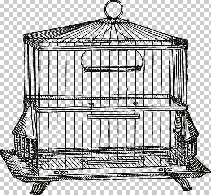 Birdcage Birdcage Domestic Canary PNG, Clipart, Animals, Aviary, Bird, Birdcage, Cage Free PNG Download
