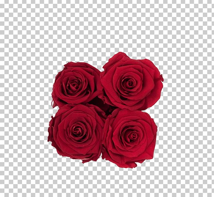 Garden Roses Red Cut Flowers Flower Bouquet PNG, Clipart, Burgundy, Color, Cut Flowers, Floral Design, Floristry Free PNG Download