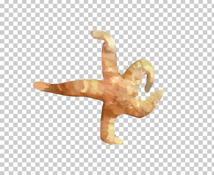 Starfish Watercolor Painting PNG, Clipart, Animals, Animation, Cartoon, Download, Encapsulated Postscript Free PNG Download