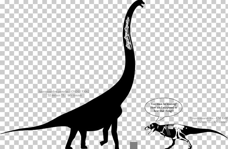 Sauroposeidon Dinosaur Size Tyrannosaurus Aptian Brachiosaurus PNG, Clipart, Aptian, Argentinosaurus, Black And White, Brachiosaurus, Cervical Vertebrae Free PNG Download