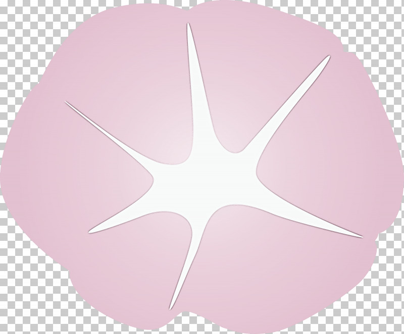 Morning Glory Flower PNG, Clipart, Morning Glory Flower, Petal, Pink Free PNG Download