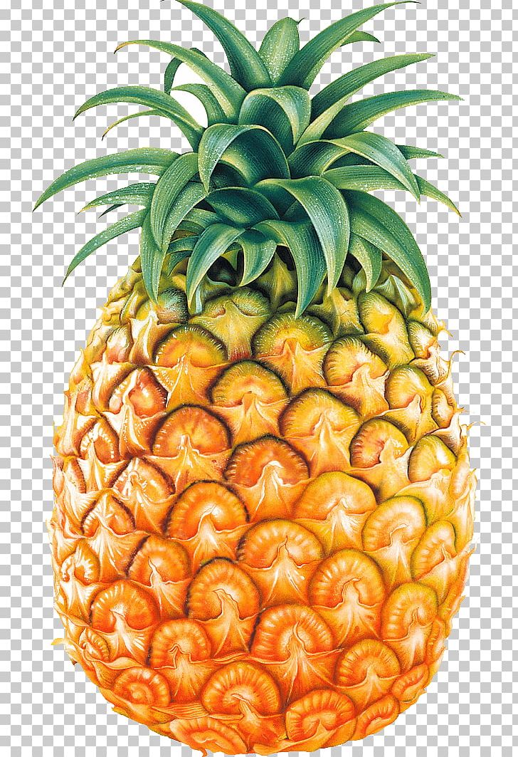Pineapple Fruit PNG, Clipart, Ananas, Australia, Bromeliaceae, Clip Art, Computer Icons Free PNG Download