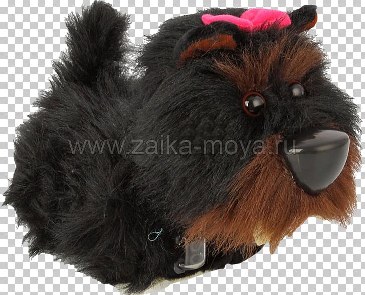 Snout Fur PNG, Clipart, Fur, Nicky Bigs Novelties, Others, Snout Free PNG Download