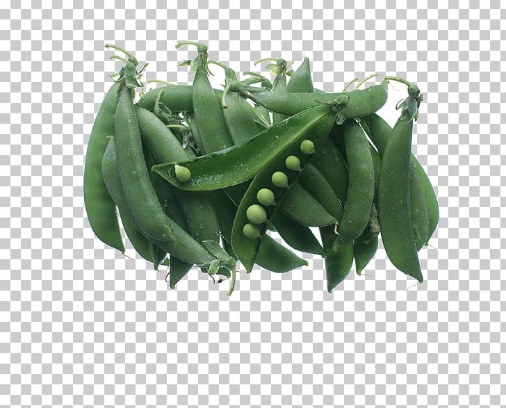 Snow Pea Vegetable Bean Sowing Food PNG, Clipart, Bean, Broad Bean, Butterfly Pea, Butterfly Pea Flower, Carrot Free PNG Download