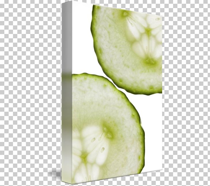 Cucumber Melon Fruit PNG, Clipart, Cucumber, Cucumber Gourd And Melon Family, Cucumis, Food, Fruit Free PNG Download