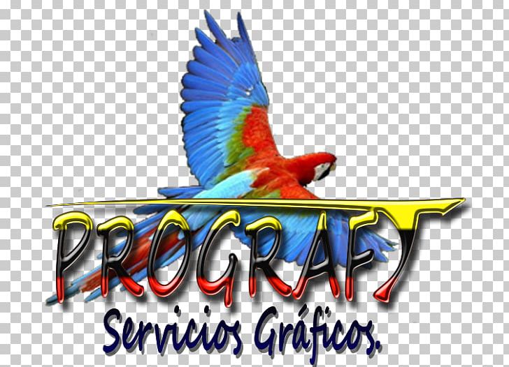 Macaw Honduras Logo Fauna Feather PNG, Clipart, Advertising, Beak, Bird, Fauna, Feather Free PNG Download