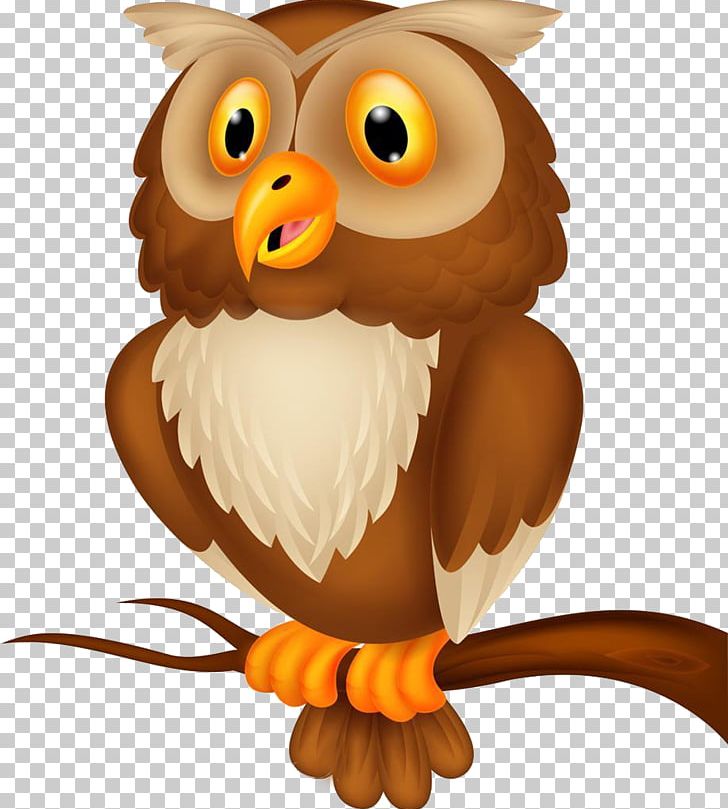 Owl Cartoon Illustration PNG, Clipart, Animals, Art, Beak, Bird, Bird Of Prey Free PNG Download