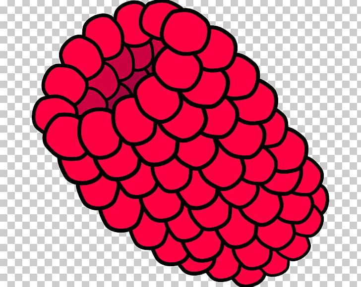Raspberry Muffin PNG, Clipart, Area, Berries, Berry, Black And White, Black Raspberry Free PNG Download