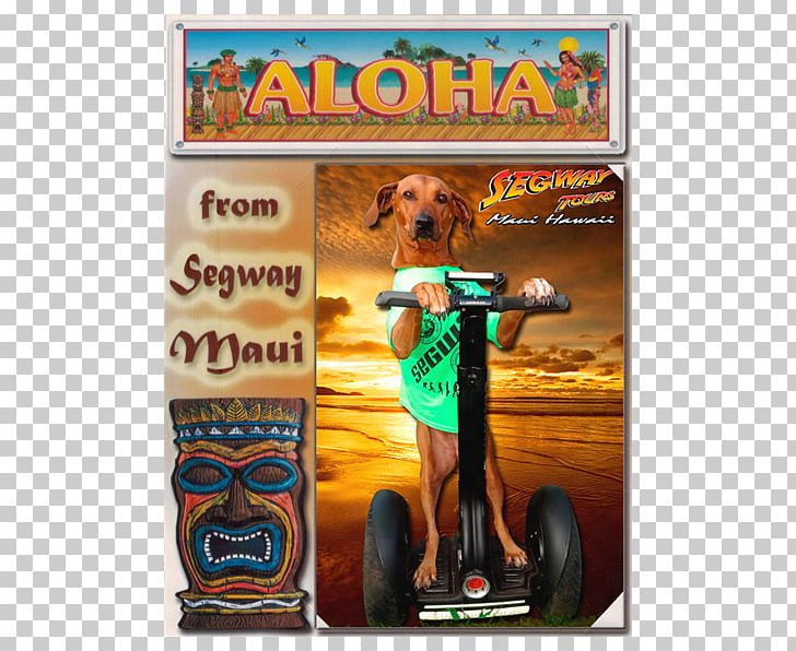 Segway Maui PNG, Clipart, Advertising, Electric Vehicle, Gift, Lahaina, Maui Free PNG Download