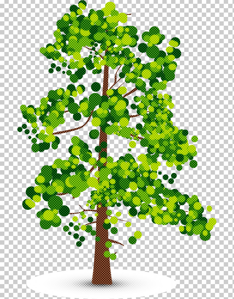Plant Tree Green Flower Leaf PNG, Clipart, Branch, Flower, Green, Leaf, Plant Free PNG Download