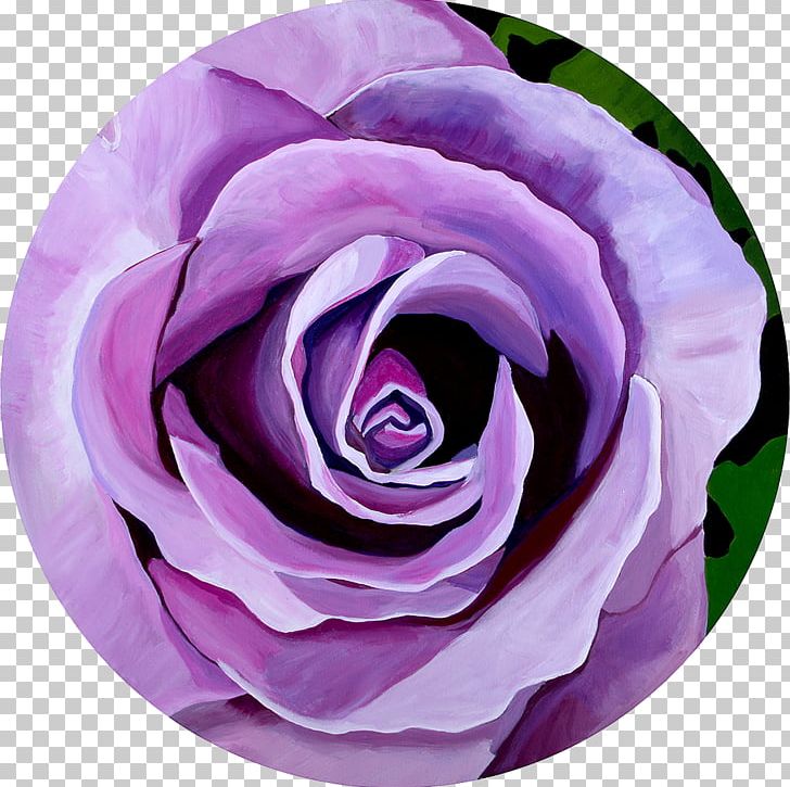 Art Cut Flowers Lavender Garden Roses PNG, Clipart, Art, Blue, Blue Rose, Centifolia Roses, Cut Flowers Free PNG Download