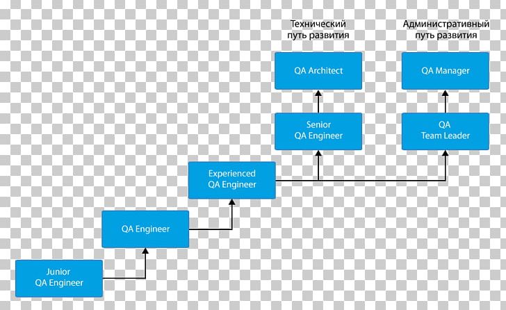 Career Тестировщик Quality Assurance Software Testing Engineer PNG, Clipart, Angle, Area, Blue, Brand, Broadcaster Free PNG Download