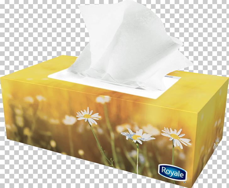 Paper Towel Box Facial Tissues Royale PNG, Clipart, Box, Carton, Cleaning, Cloth Napkins, Face Free PNG Download