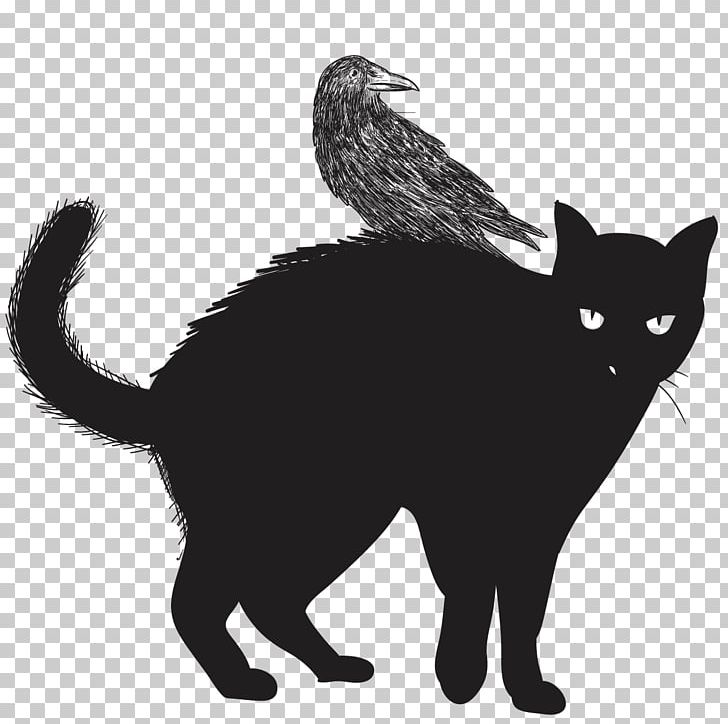 Black Cat Felidae Halloween PNG, Clipart, Animals, Background Black, Bad Luck, Black, Black And White Free PNG Download