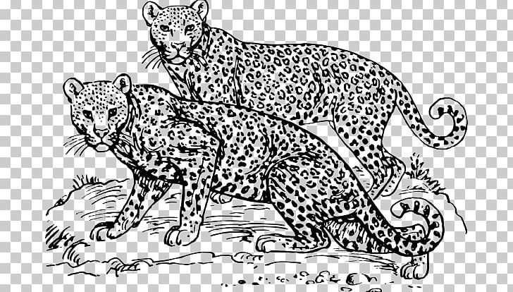 Cheetah Amur Leopard Snow Leopard Jaguar PNG, Clipart, Animal Figure, Area, Art, Big Cat, Big Cats Free PNG Download