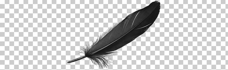 Feather Quill PNG, Clipart, Bag, Bicast Leather, Black, Black And White, Carbon Free PNG Download