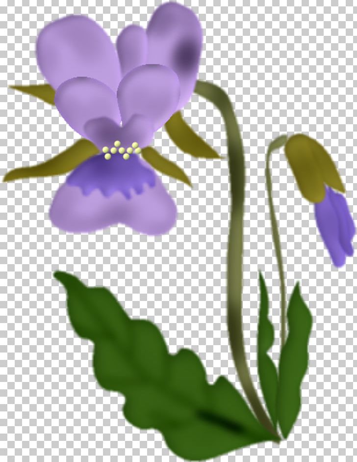 Flower Violet PNG, Clipart, 13indandione, Blog, Blume, Cattleya, Color Free PNG Download