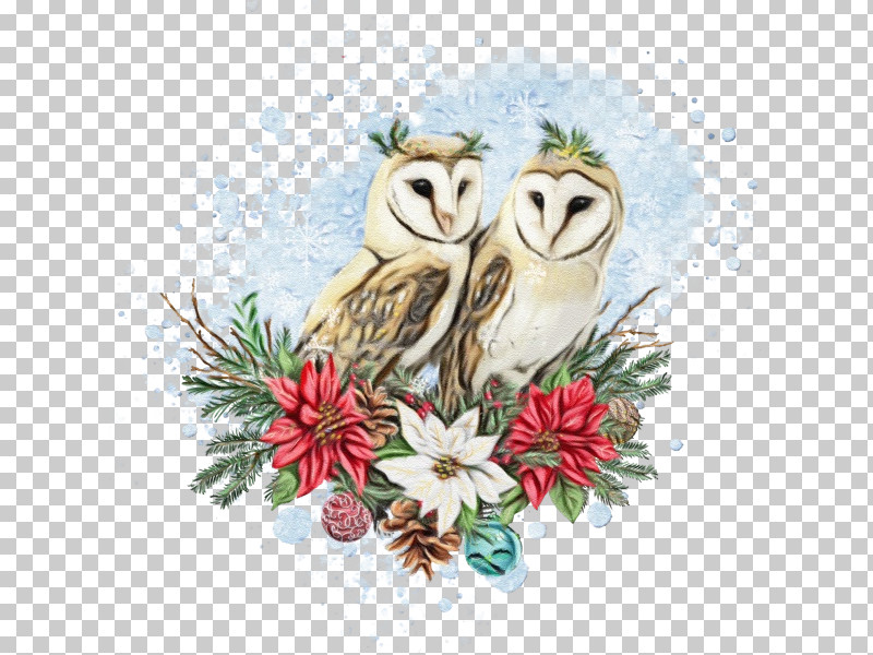 Owl Bird Bird Of Prey Barn Owl Snowy Owl PNG, Clipart, Barn Owl, Bird, Bird Of Prey, Branch, Owl Free PNG Download