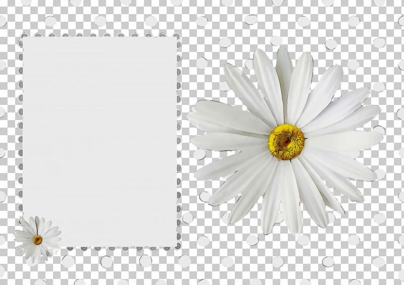 Floral Design PNG, Clipart, Chrysanthemum, Floral Design, Oxeye Daisy, Paint, Paper Free PNG Download