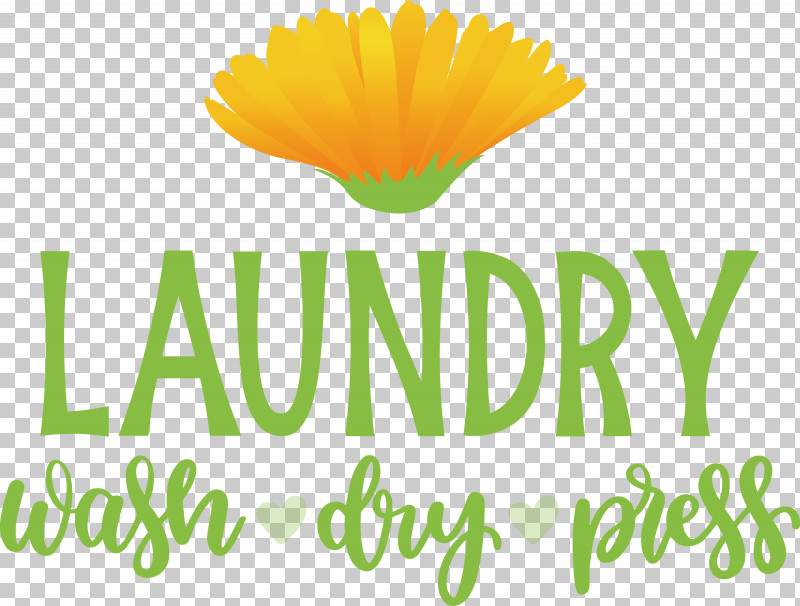 Laundry Wash Dry PNG, Clipart, Calendula, Cut Flowers, Dry, Flower, Happiness Free PNG Download