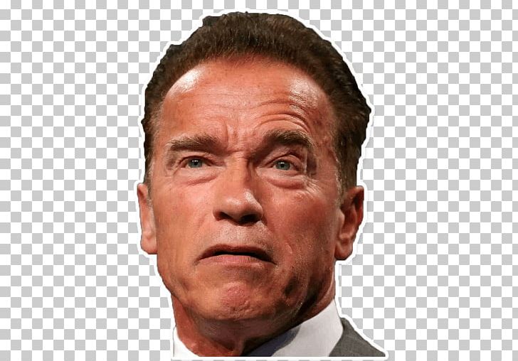 Arnold Schwarzenegger Actor 1970 Mr. Olympia The Terminator PNG, Clipart, 1970 Mr Olympia, Actor, Arnold Schwarzenegger, Bodybuilding, Celebrity Free PNG Download