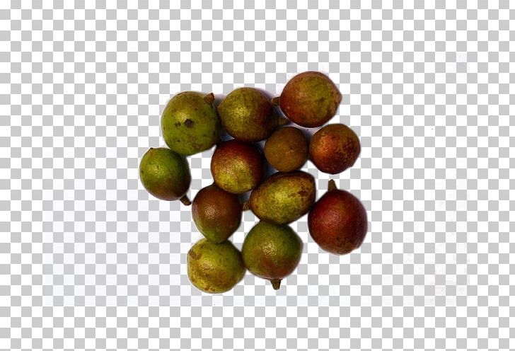 Fruit Tea Fruit Tea PNG, Clipart, Adobe Illustrator, Apple Fruit, Brown, Camellia, Camellia Fruit Free PNG Download