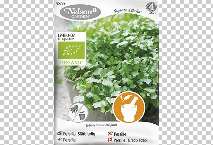 Organic Farming Parsley Italy Herb PNG, Clipart, Common Beet, Condiment, Dill, Farm, Food Free PNG Download