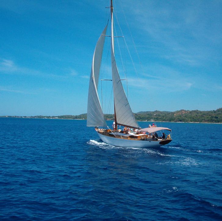 Sailboat Sailing Boating PNG, Clipart, Boat, Boat Club, Boating, Calm, Catamaran Free PNG Download