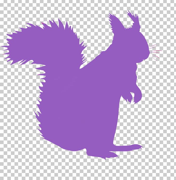 Whiskers Squirrel Cat Canidae Dog PNG, Clipart, Animals, Canidae, Carnivoran, Cat, Cat Like Mammal Free PNG Download
