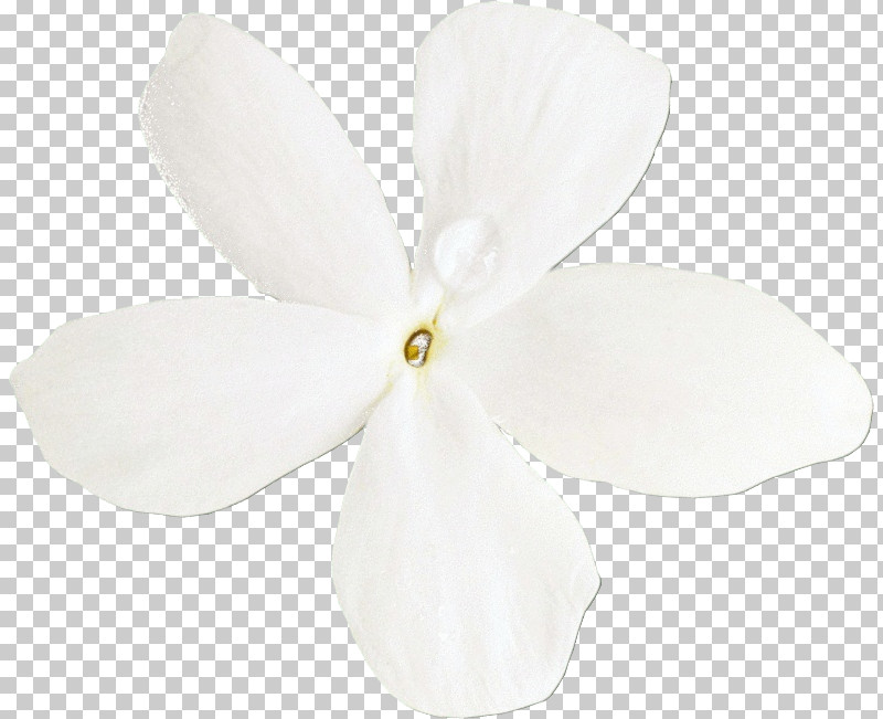 Moth Orchids Cut Flowers Petal Orchids Flower PNG, Clipart, Cut Flowers, Flower, Moth Orchids, Orchids, Paint Free PNG Download