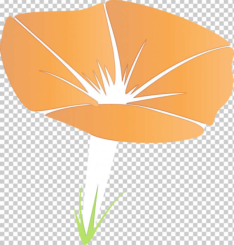Orange PNG, Clipart, Flower, Leaf, Line, Logo, Morning Glory Free PNG Download