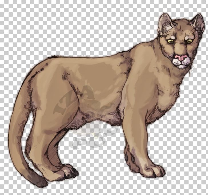 Cougar Lion Cat Felidae Leopard PNG, Clipart, Big Cat, Big Cats, Carnivoran, Cat, Cat Like Mammal Free PNG Download