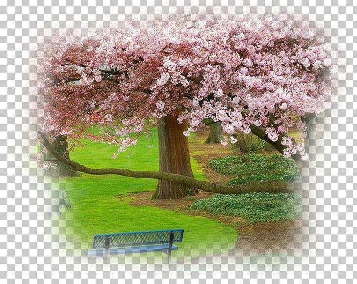 Desktop Desktop Environment UXGA Computer HVGA PNG, Clipart, 4k Resolution, 720p, 1080p, Aspect Ratio, Blossom Free PNG Download