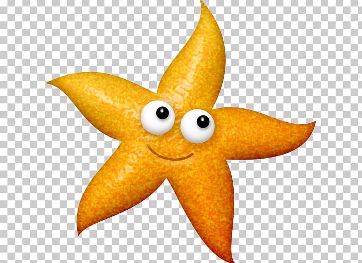 Starfish Sea Drawing PNG, Clipart, Animals, Echinoderm, Fivepointed, Fivepointed Star, Food Free PNG Download