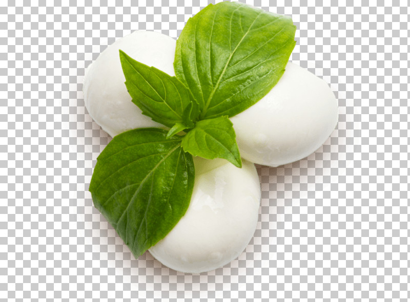 Food Basil Herb Plant Mozzarella PNG, Clipart, Basil, Dairy, Flower, Food, Herb Free PNG Download