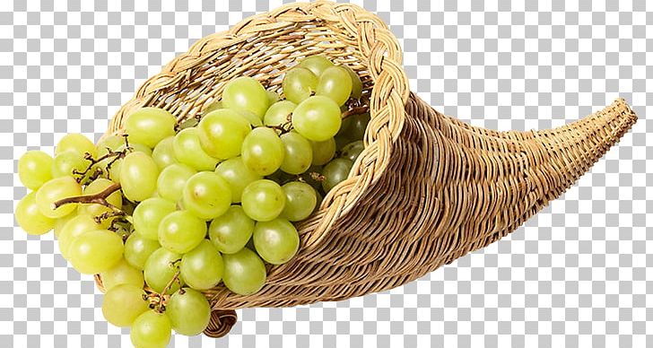 Common Grape Vine Sultana Online Chat Internet Forum PNG, Clipart, Actor, Common Grape Vine, Computer Program, Encyclopedia, Film Free PNG Download