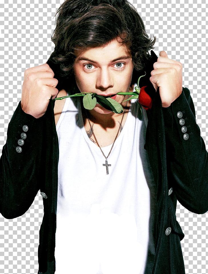 Harry Styles The X Factor One Direction PNG, Clipart, Art Style, Beard, Clip Art, Computer Icons, Desktop Wallpaper Free PNG Download